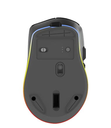 Mouse bottom view