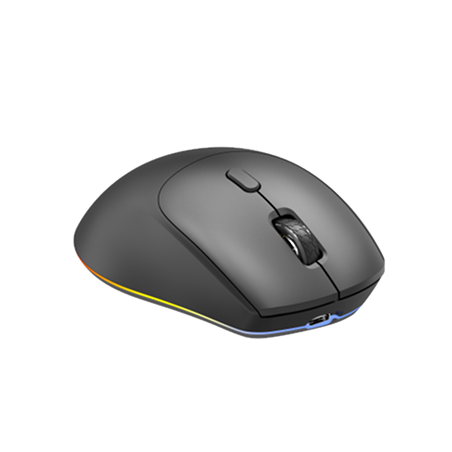 Mouse low angle view