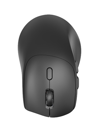 Mouse top view
