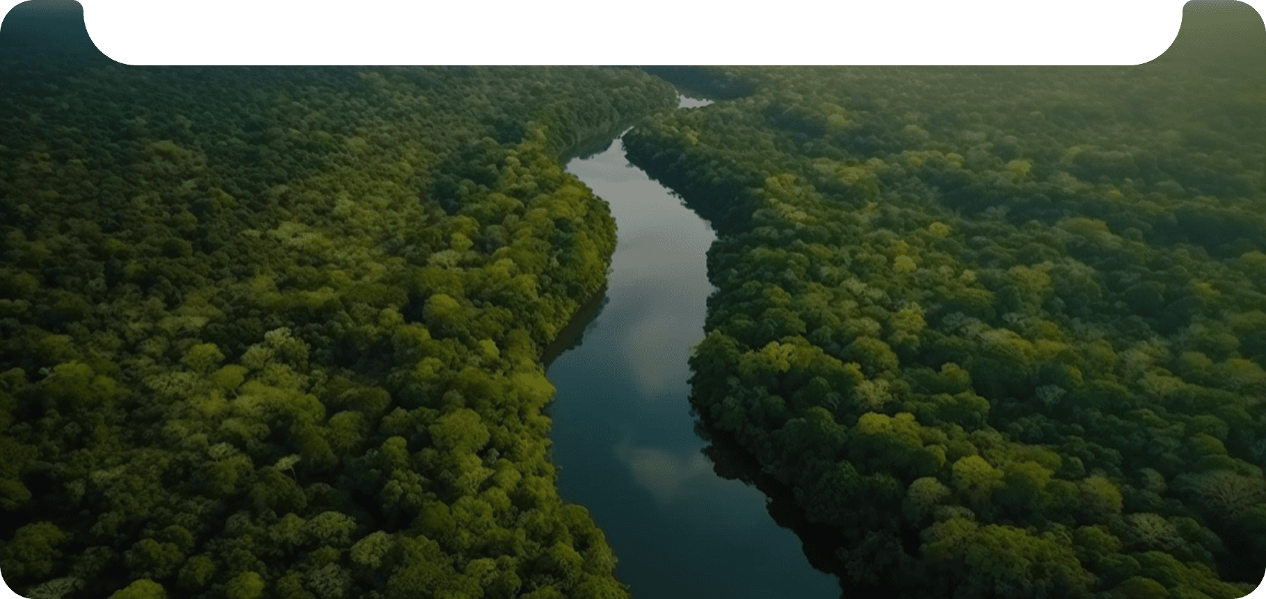 Environment hero background